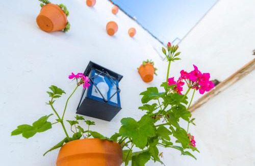 Cantillana Casa | La Clara Domus