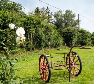 Drucourt Casa | La Contrebasse
