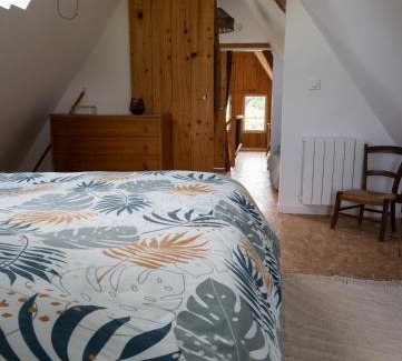 Drucourt Casa | La Contrebasse