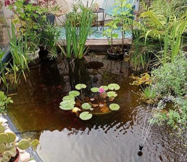 Saintes Casa | La conviviale