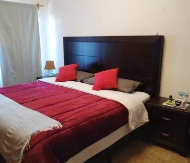 Coyoacan Casa | La Cortesana