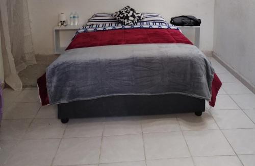 Coyoacan Casa | La Cortesana