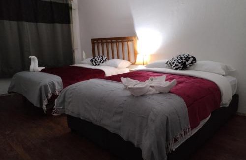 Coyoacan Casa | La Cortesana
