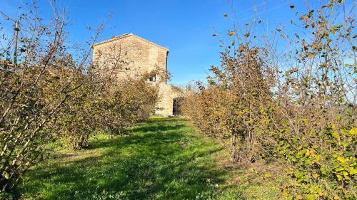 Tivissa Casa | la Creveta