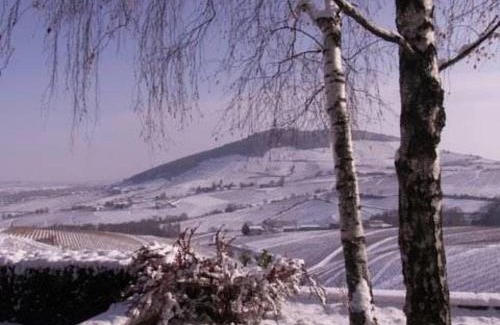 Quincie-en-Beaujolais Cama Y Desayuno | La Croix de Saburin