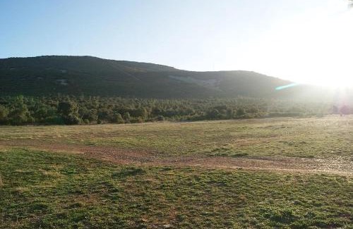 Los Yebenes Casa | La Dehesa Boyal