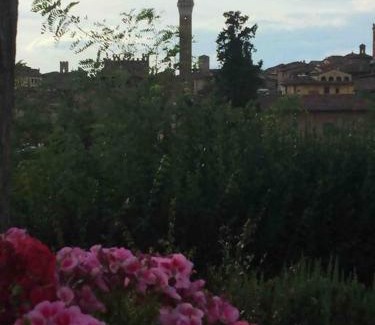 Siena Casa | La dogana
