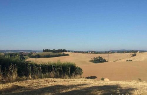 Siena Casa | La dogana