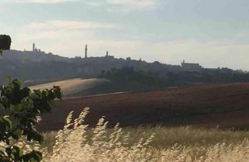 Siena Casa | La dogana