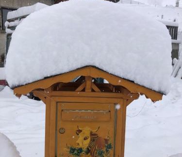 Le Bouchet-Mont-Charvin Chalet De Esquí | La Dolce Vita Chalet