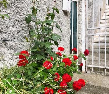 Teriasca Apartamento | La dolce vita