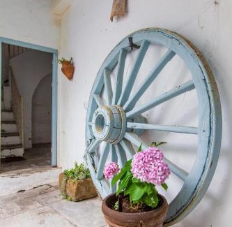 Tarifa Casa | La Estrella de Tarifa