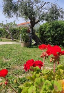 Ripa Teatina Apartamento | La Fattoria dei Desideri