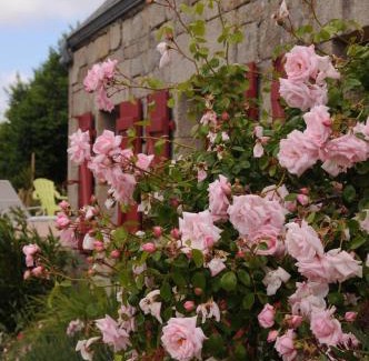 Combrit Cama Y Desayuno | La Ferme de Kerraoul
