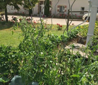 Thoury Cama Y Desayuno | La Ferme de la Maugerie
