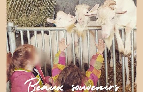 Courroux Apartamento | La Ferme du Solvat