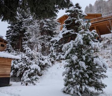 Allos Chalet De Esquí | La Foux d'Allos Cottage