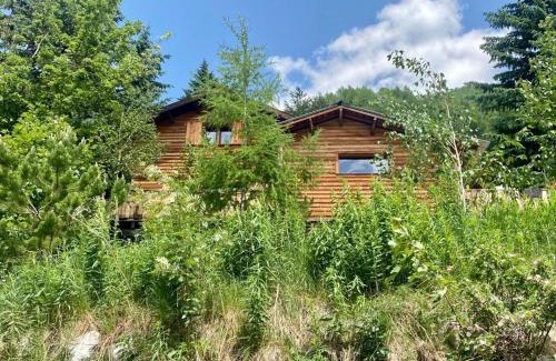 Allos Chalet De Esquí | La Foux d'Allos Cottage