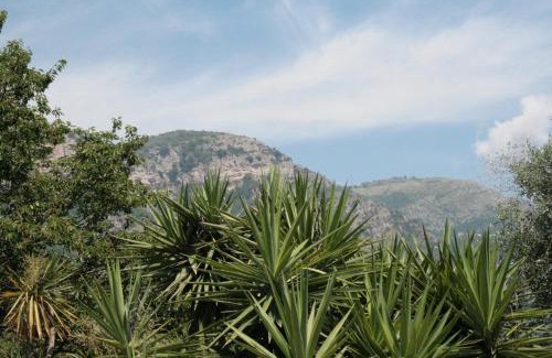 Piano di Sorrento Cama Y Desayuno | La Gaggia Guest House