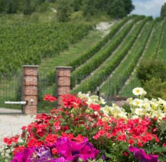 Calamandrana Casa | La Giribaldina Winery & Farmhouse