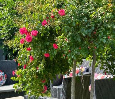 Sainte-Colombe Cama Y Desayuno | La Glycine B&B