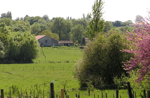 Verac Cama Y Desayuno | La Grange d'Oustaud