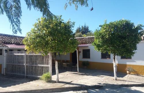 Prado del Rey Casa | La Jaima