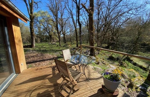 Gramat Casa | La jonquille