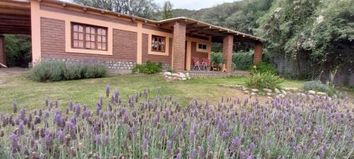 Province of Catamarca Chalet De Esquí | La Killuna