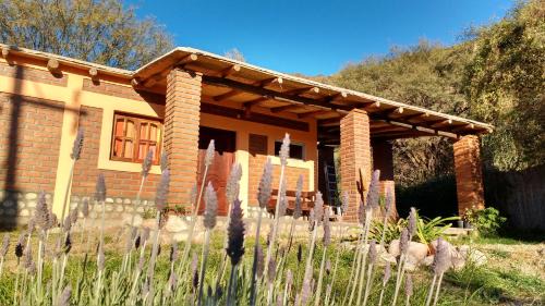 Province of Catamarca Chalet De Esquí | La Killuna