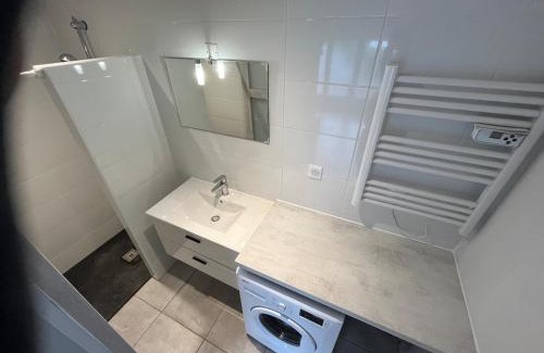 Mont-de-Marsan Apartamento | La Loge de Gustave et son patio avec Wifi et parking privée