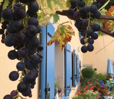 Saint-Barthelemy Cama Y Desayuno | La Mésange bleue