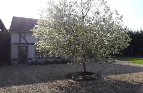 Tour-en-Sologne Casa | La Métairie-Suite-Baño con bañera-Confortable-Terraza