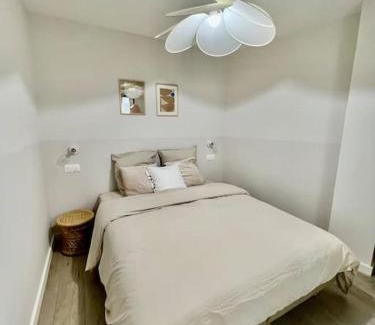 Anse Apartamento | La Madeleine, T2 Cœur Ville