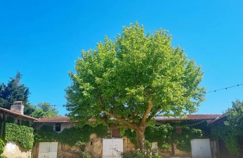 Marges Casa | La maison d’Emilie
