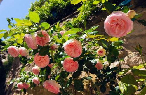St.-Remy-de-Provence Casa | La Maison du Village
