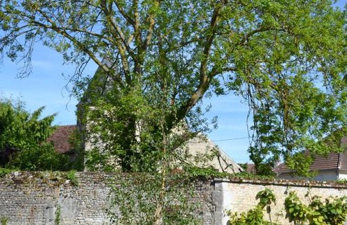 Falaise Cama Y Desayuno | La Maison Des Buis