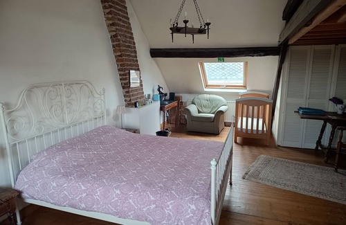 Kortenberg Casa | La maison des chiens