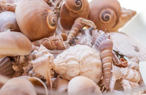 Tellaro Apartamento | La maison des coquillages