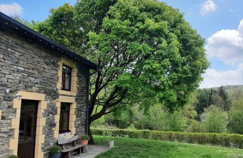 Laforet Casa | La Maison des Marguerites