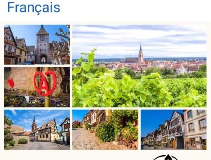 Ribeauville Casa | La Maison des Tanneurs