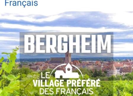 Ribeauville Casa | La Maison des Tanneurs