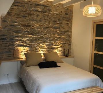 Angers Apartamento | La Maison du Cocher - Studio climatisé en Hypercentre