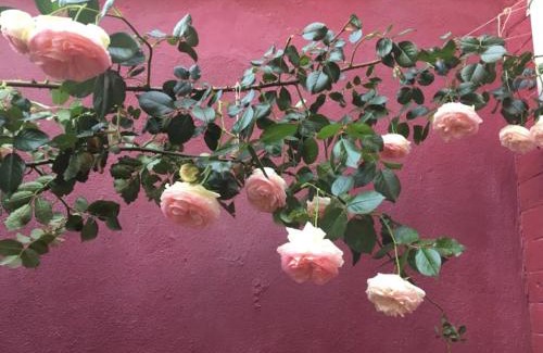 Gare Cama Y Desayuno | La Maison Rouge