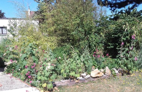 Saint-Aubin-Les-Elbeuf Casa | La maisonnette du Jardin Fleuri