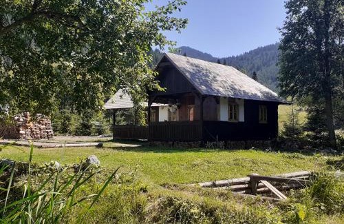 Carlibaba Casa | La Malu' Bistritei - casutele Valea Stanii