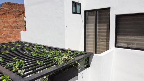 San Luis Potosi Casa | La Mansión del Rey David