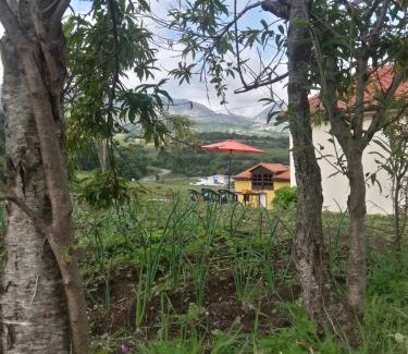 Penamellera Baja Casa | La Maria Diego