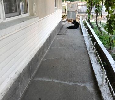 Sulina Casa | La mine acasă