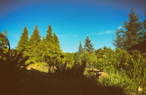Allemans Cama Y Desayuno | La Montagne Sud